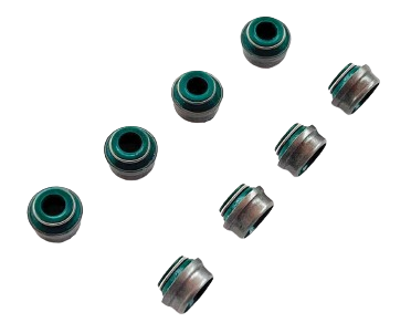 TATA 207 Valve Oil Seal Set
